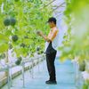 Cerita Seorang Guru yang Sukses dari Kerja Sampingan Tanam Melon