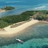 Ada Hewan Langka di Tiga Kabupaten Wilayah NTT