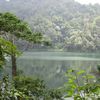 Daftar Anggrek Hutan yang Tumbuh di Sekitar Danau ini, Jangan Lupa Berkunjung ke Sana Ada Air Terjunnya