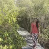 Hutan Bakau Peninggalan Baba Akong Jadi Destinasi Wisata Alam Buatan Pertama di Sikka