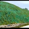 Ini Kota Baru di NTT Dekat Labuan Bajo yang jadi Pusat Perhatian Banyak Orang