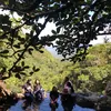 Panorama Lembah dari Tepian Kolam di Atas Awan Desa Wae Lolos Labuan Bajo NTT