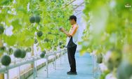 Cerita Seorang Guru yang Sukses dari Kerja Sampingan Tanam Melon