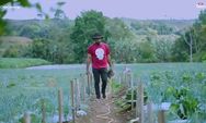 Kisah Petani Sukses, Tolak Kerja di Bank Lebih Memilih jadi Petani Bawang
