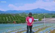 Kisah Petani Sukses, Sempat Minder karena Anggapan Sarjana tidak Boleh jadi Petani