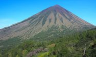 Berikut 17 Gunung Berapi Aktif yang Ada di Nusa Tenggara Timur beserta Ketinggiannya, Tertinggi Gunung Ranaka 