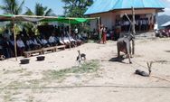 Acara Kebeng Gendang, Pembangunan Rumah Adat di Metang Dehe Manggarai Barat Telah Berlangsung