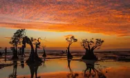 Bukan Labuan Bajo, ini Destinasi Terbaik Dunia yang ada di NTT dan Hanya Ada 3 di Asia