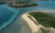 Kawasan Terbaik di NTT, Ada Kumpulan Telur Kelinci Laut Membentuk Rumbai Merah Menyala