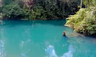 Danau Terbaik Ada di NTB Menawarkan Ketenangan dan Keindahan Alam Hutan