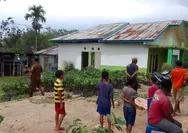 Pemdes Cunca Wulang Manggarai Barat NTT Distribusi 5000 Bibit Advokat Kepada Masyarakat Petani