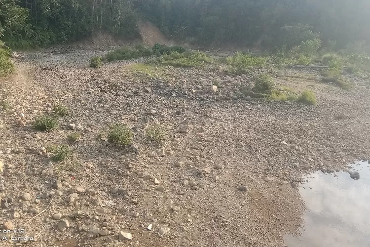 Sungai Wae Mese di Labuan Bajo mengering diabadikan Senin (29/8/2026) (Feliks Janggu )